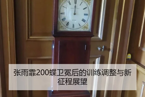 张雨霏200蝶卫冕后的训练调整与新征程展望